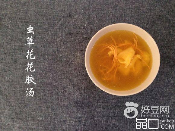 虫草花花胶汤