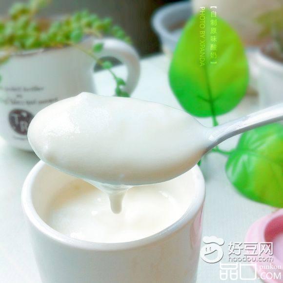 自制原味酸奶