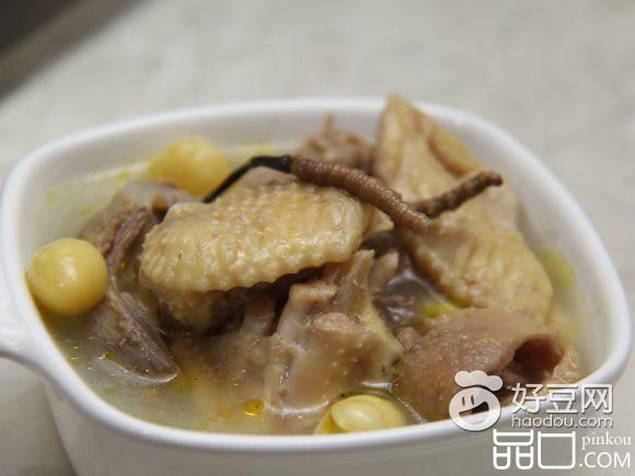 虫草白果炖土鸡