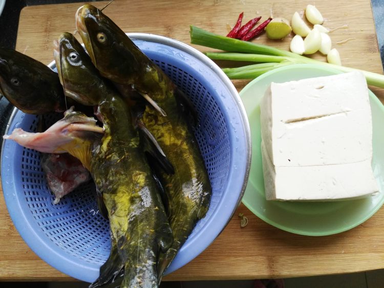嘎丫鱼炖豆腐步骤1