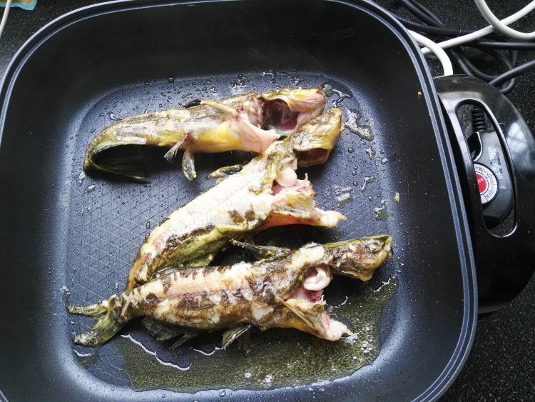 嘎丫鱼炖豆腐步骤3