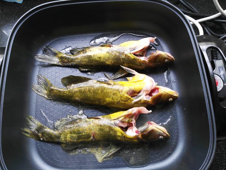嘎丫鱼炖豆腐步骤2