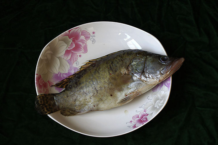 红烧腌鳜鱼步骤1