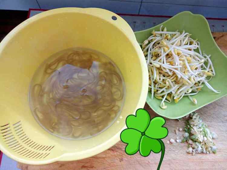 宽粉炒黄豆芽步骤1