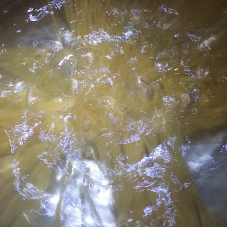 番茄海鲜意面步骤8
