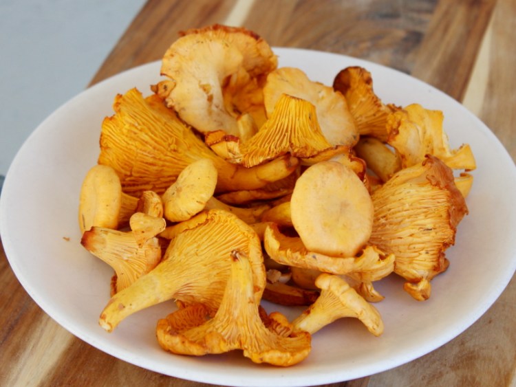 挪威式炒鸡油菌步骤1