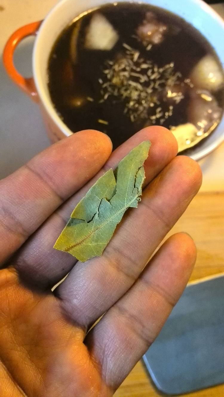 红烩牛肉步骤17