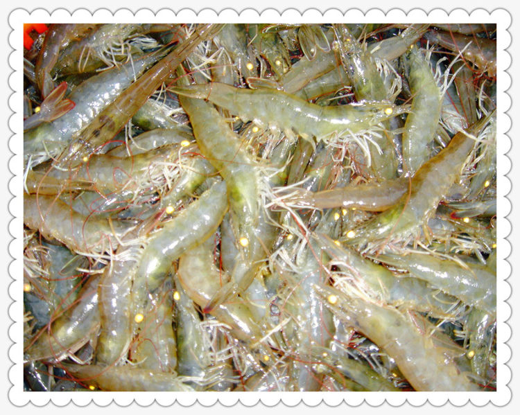 南瓜芝士虾仁意面步骤1