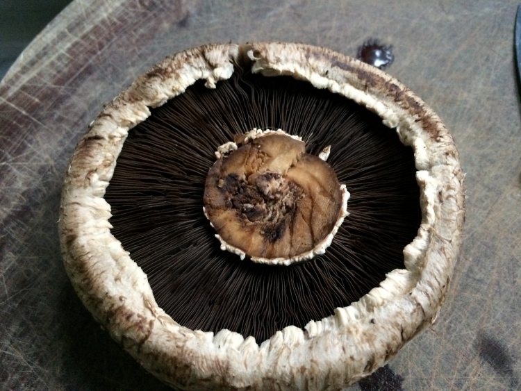 芝士焗珍宝菇配谷饲肉步骤5