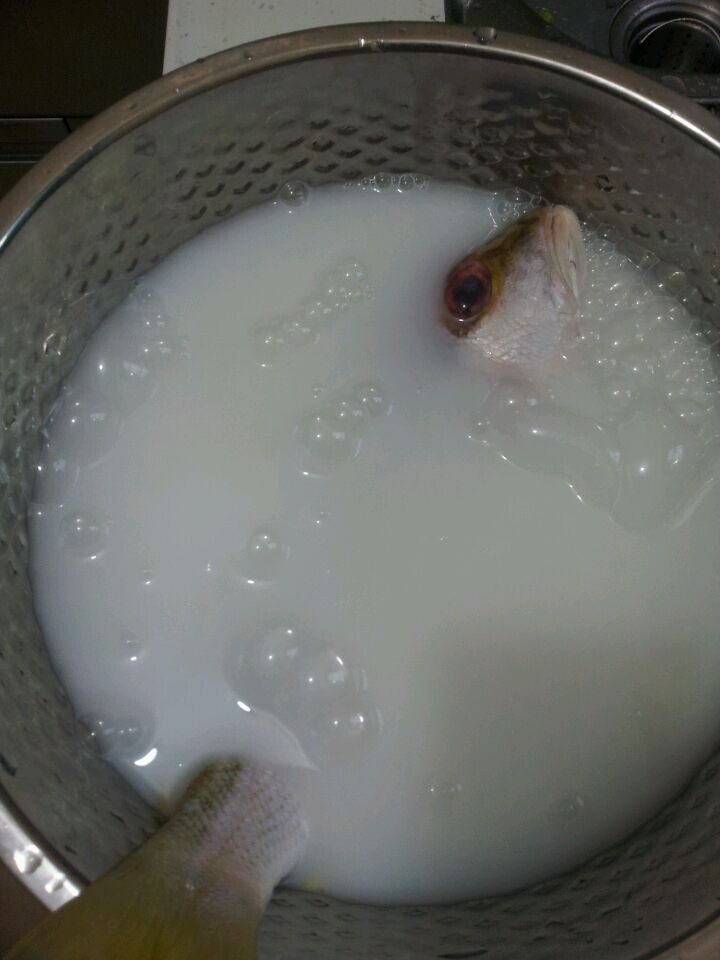 香煎双边鱼步骤2