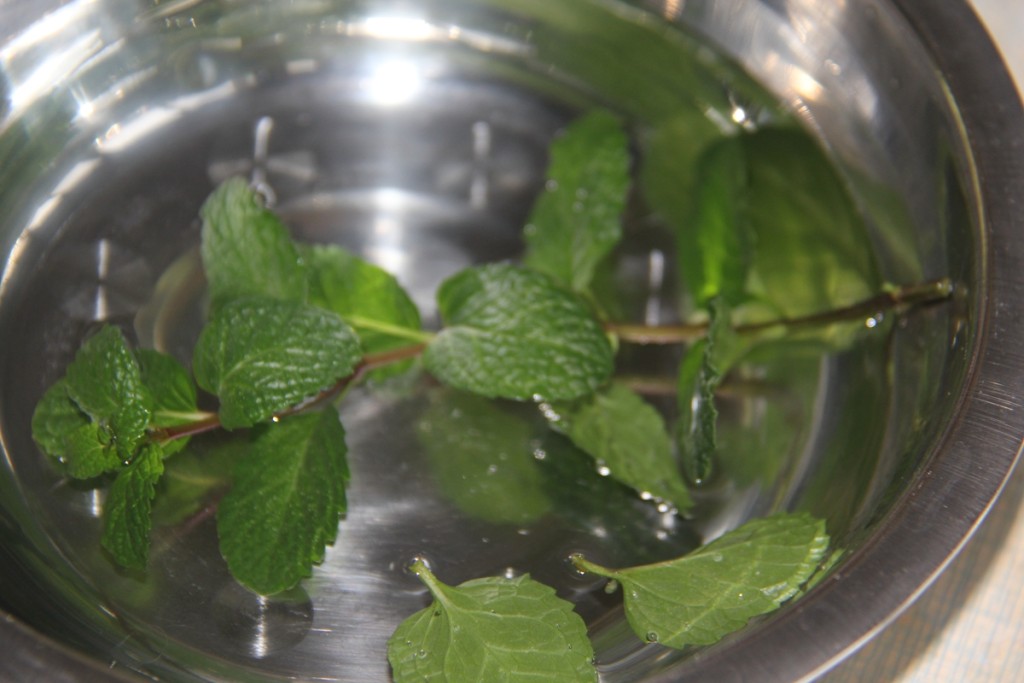Mojito步骤1