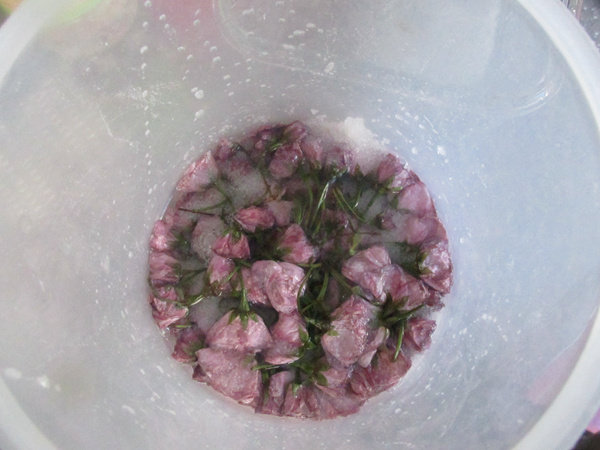 盐渍樱花步骤10