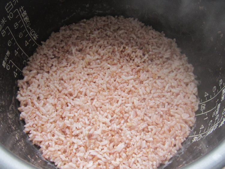 红粳米肉松饭团步骤4