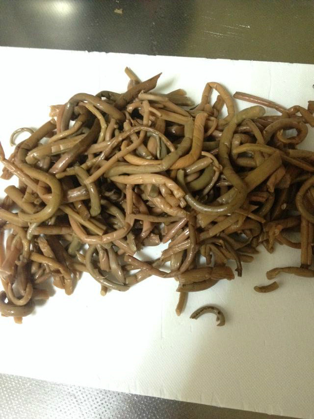 煮紫萁步骤1