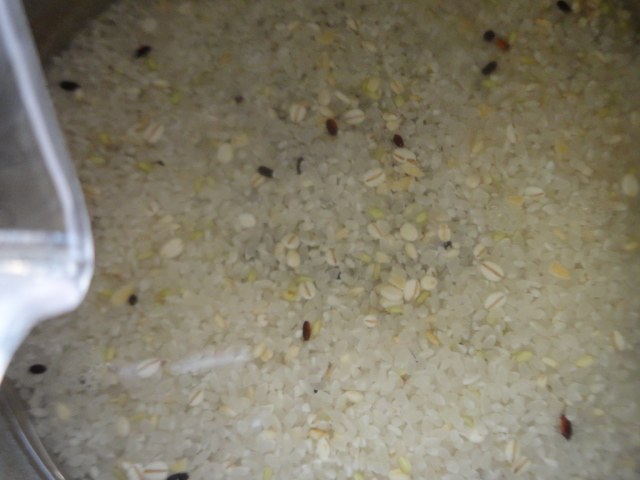 十八谷米味噌饭糰步骤3