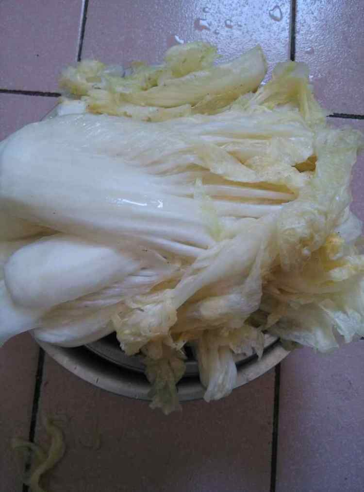 自制辣白菜步骤2