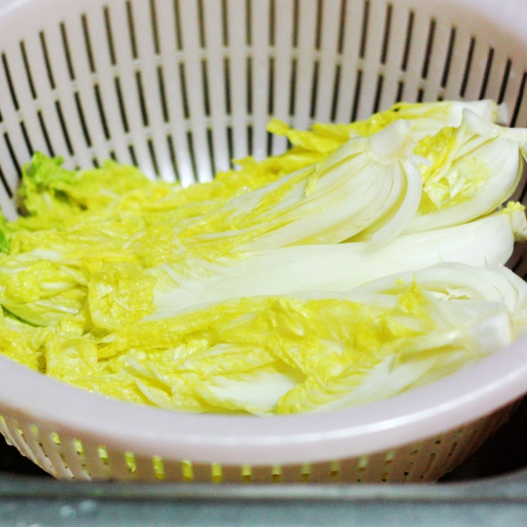 简易版辣白菜步骤8