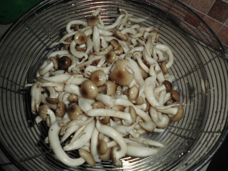 番茄炒年糕步骤3