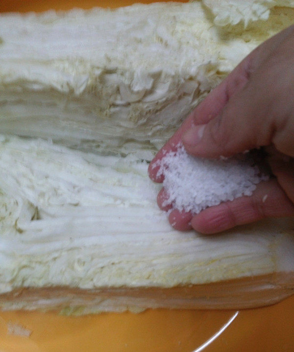 腌制辣白菜步骤5