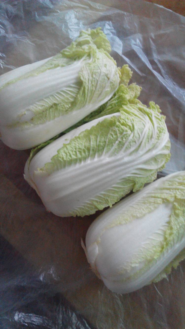 韩式泡菜步骤3