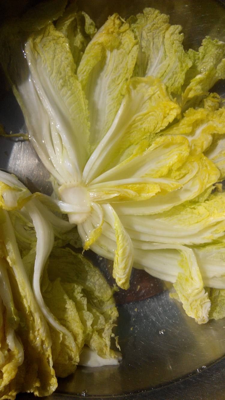 韩式泡菜步骤8