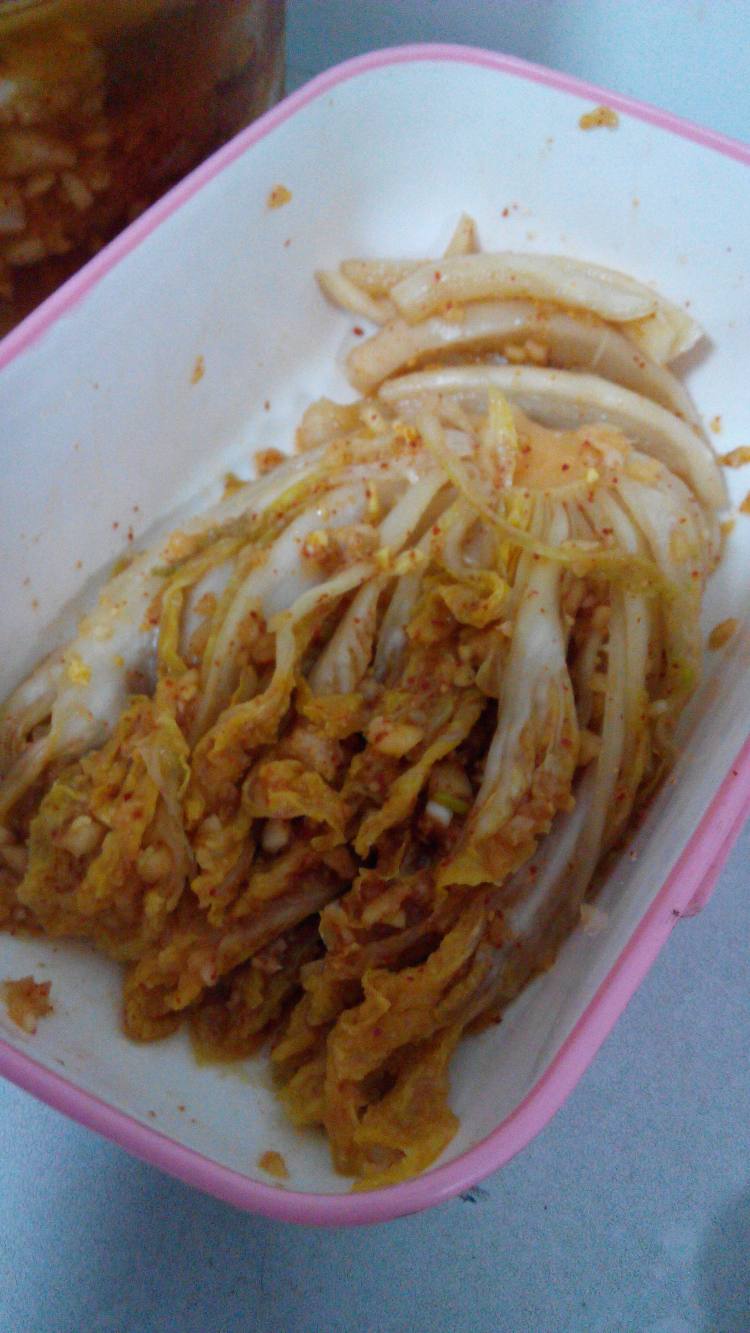 韩式泡菜步骤21