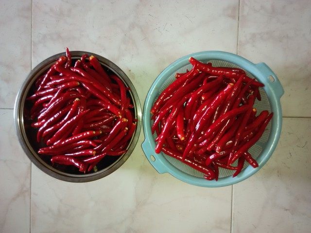 脆辣大白菜步骤1