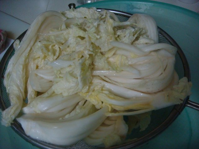 红翻天辣泡白菜步骤4