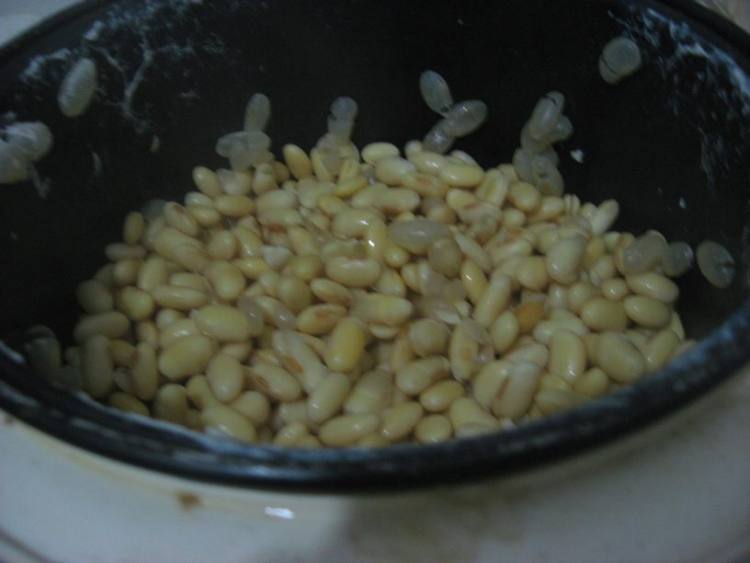 霉豆豉步骤4