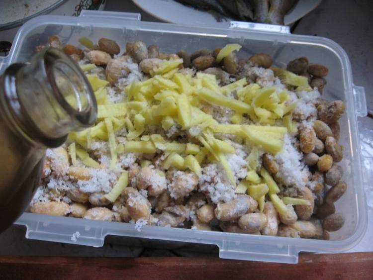 霉豆豉步骤13