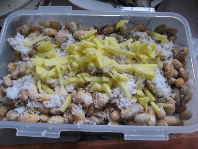 霉豆豉步骤12