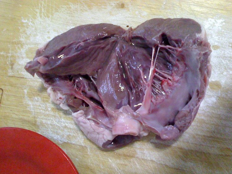 菠菜猪心汤步骤3