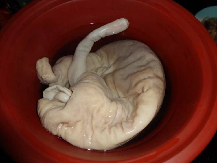 猪肚莲子汤步骤2