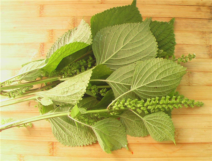 紫苏茶步骤2