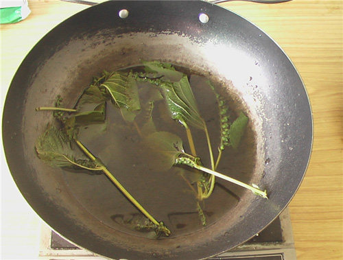 紫苏茶步骤5