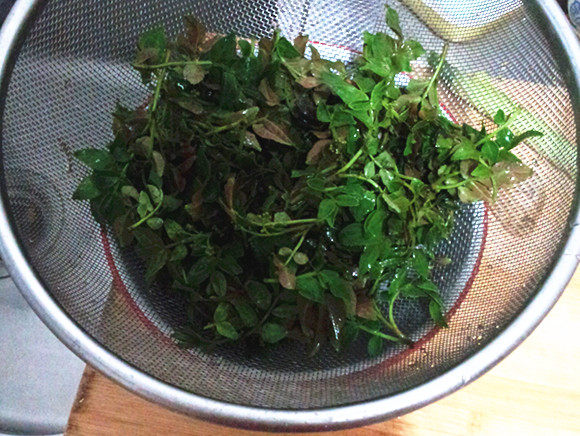 凉拌花椒叶步骤1
