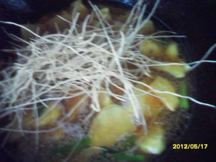 土豆炖粉条步骤8