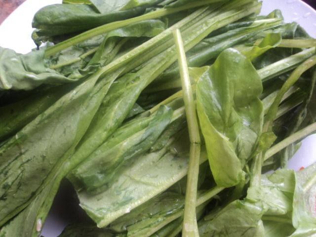 牛肉菠菜粉丝汤步骤4