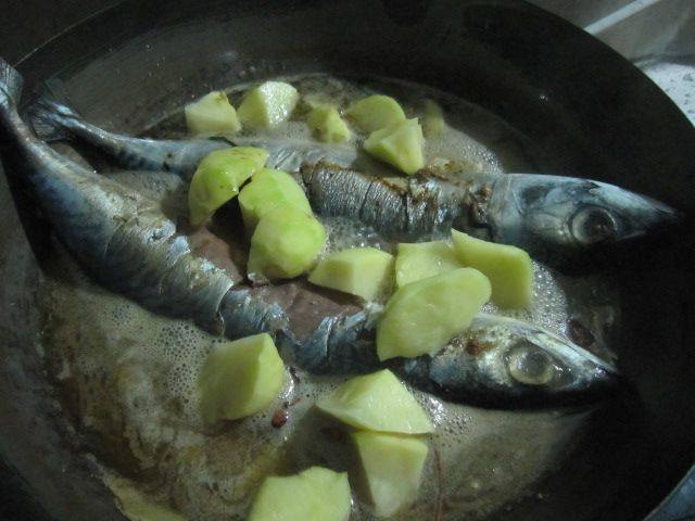 鲅鱼炖土豆步骤8