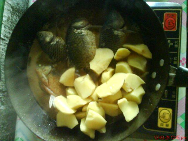 鲫鱼炖土豆步骤5
