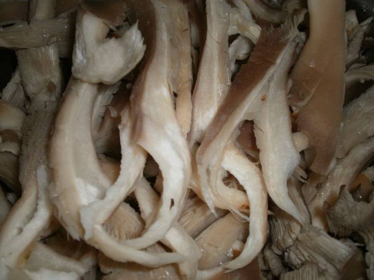 鲜蘑肉片步骤1