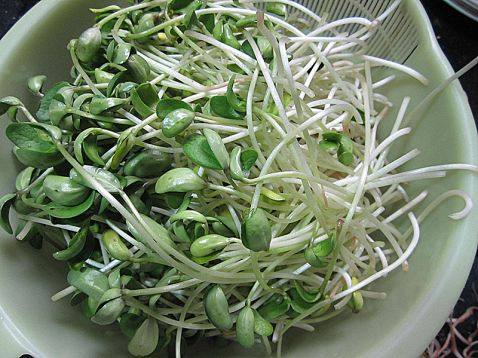 黑豆芽炒牛肉步骤1