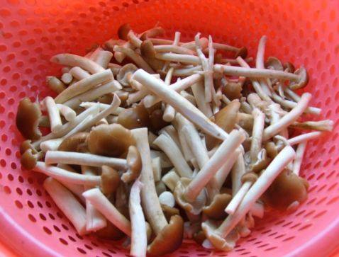 牛肉炒茶树菇步骤1