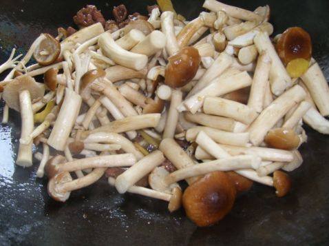 牛肉炒茶树菇步骤5