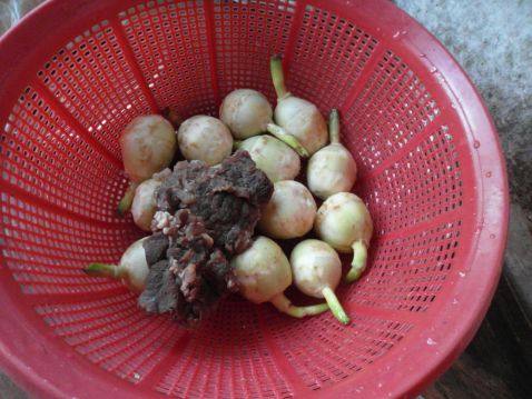 糍菇焖牛肉步骤1