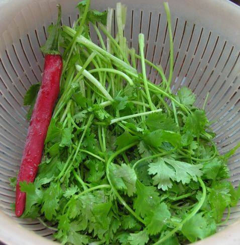 凉拌香菜步骤1