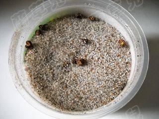 干煸椒麻小土豆步骤2
