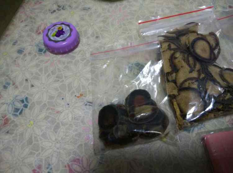 鹿茸炖猪腰步骤1