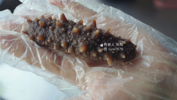 海参白菜汤步骤1