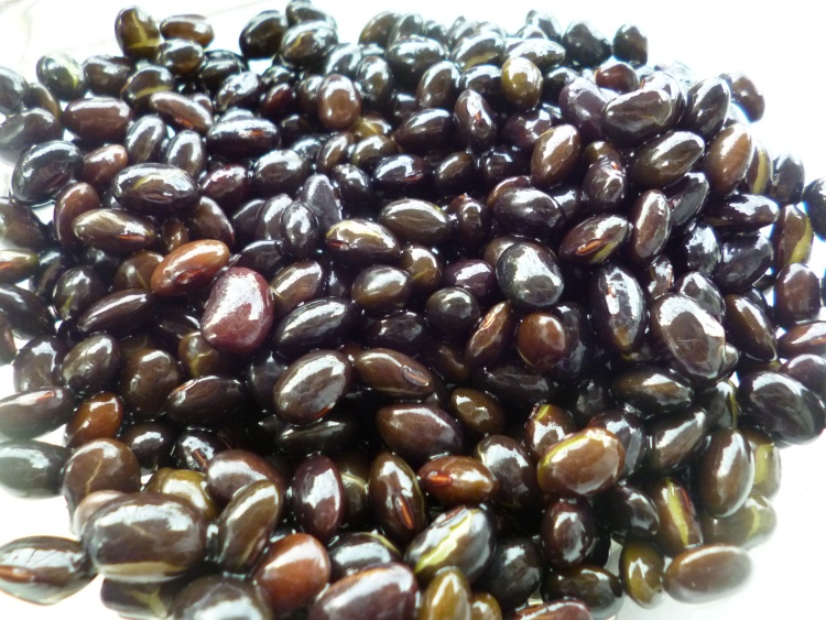 黑芝麻黑豆浆步骤2